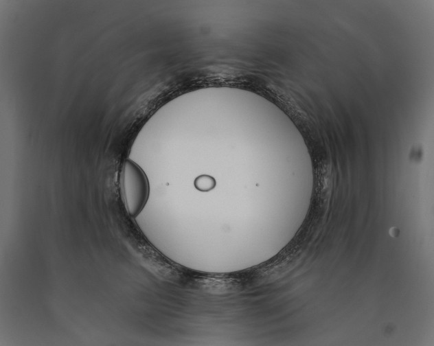 X0000090420615200708031108