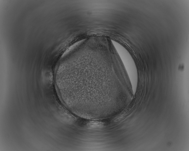 X0000090420617200708031108