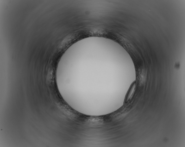 X0000090420619200708031108