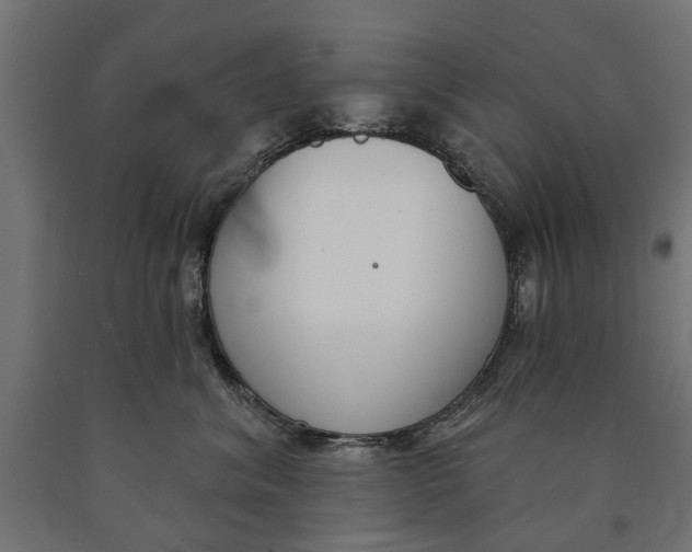 X0000090420620200708031108