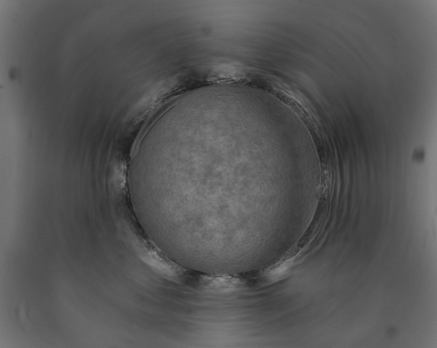 X0000090420621200708031108