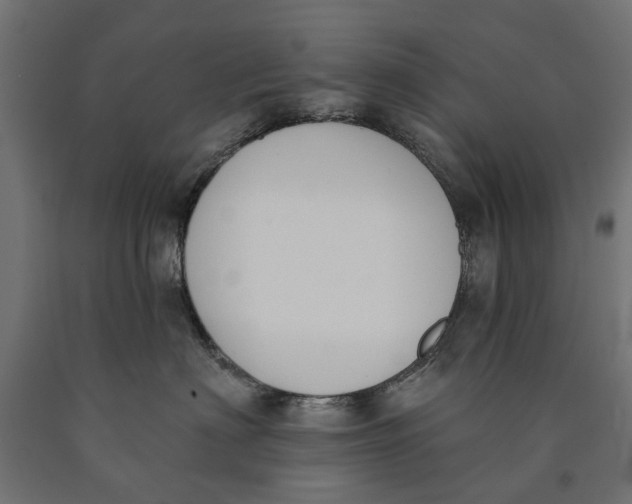 X0000090420622200708031107