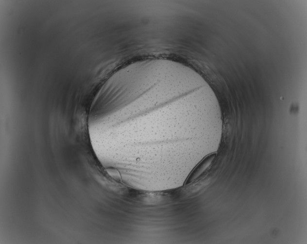 X0000090420623200708031107