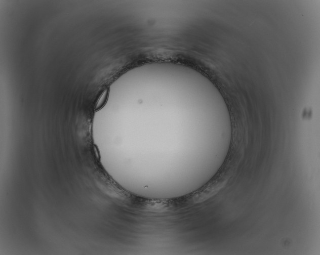 X0000090420624200708031107