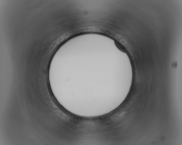 X0000090420625200708031107