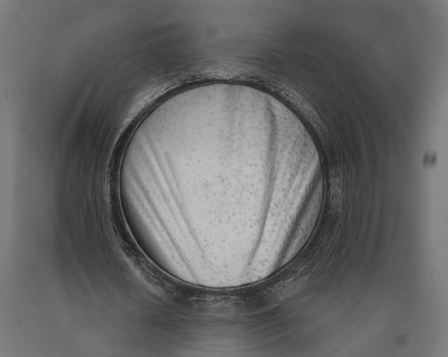 X0000090420626200708031107