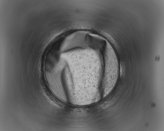 X0000090420627200708031107