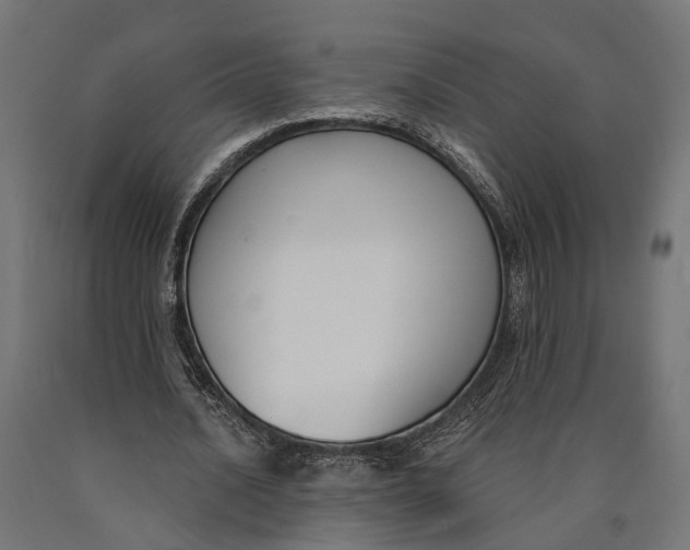 X0000090420628200708031107