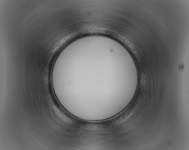 X0000090420629200708031107