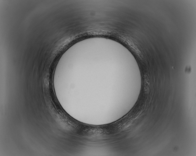 X0000090420631200708031107