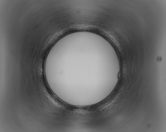 X0000090420633200708031107