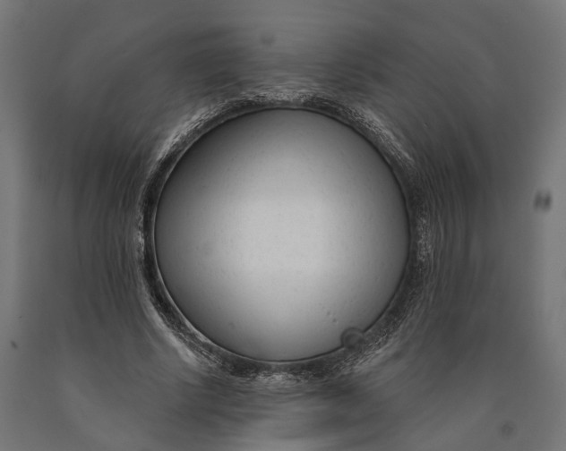 X0000090420634200708031107