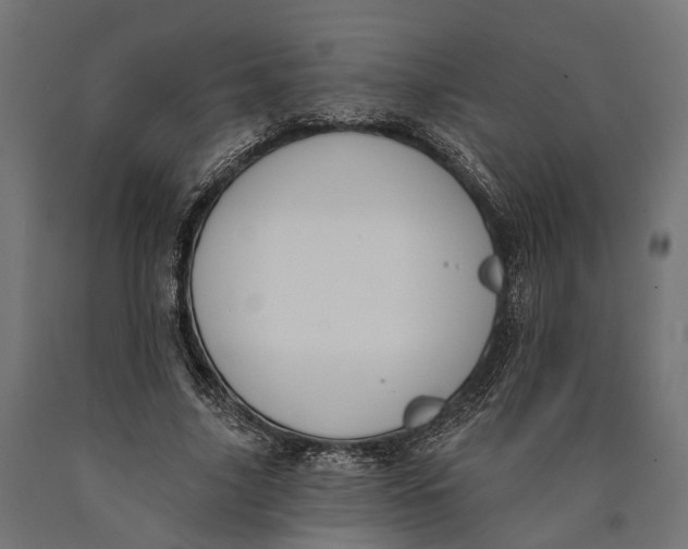 X0000090420635200708031107