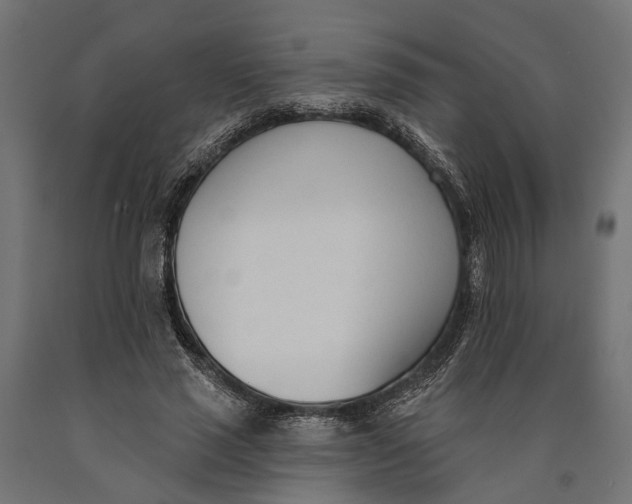 X0000090420637200708031107