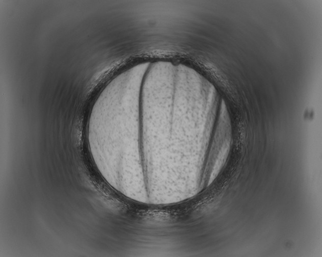 X0000090420640200708031107