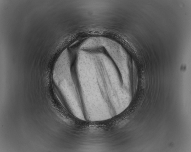 X0000090420641200708031107