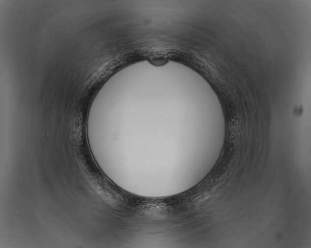 X0000090420642200708031107