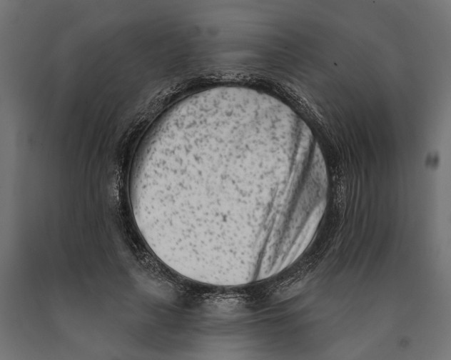 X0000090420643200708031107