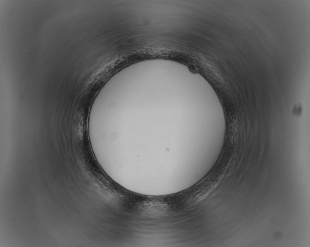 X0000090420644200708031107