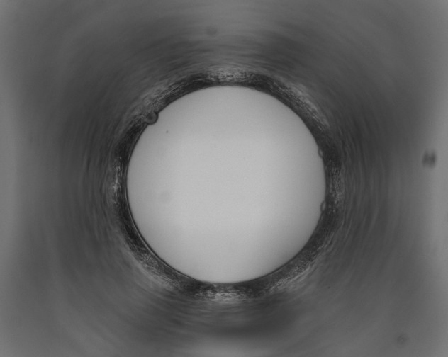 X0000090420645200708031107