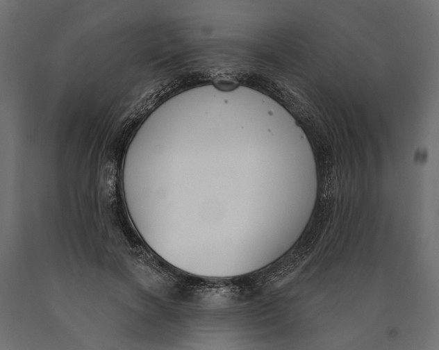 X0000090420646200708031107