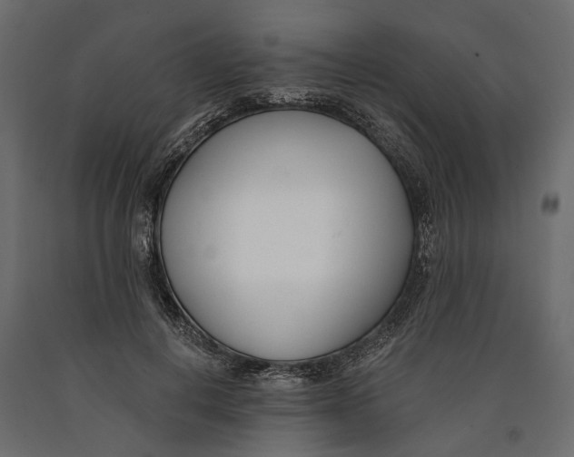 X0000090420648200708031107