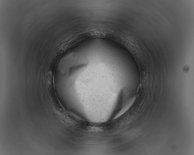 X0000090420649200708031107