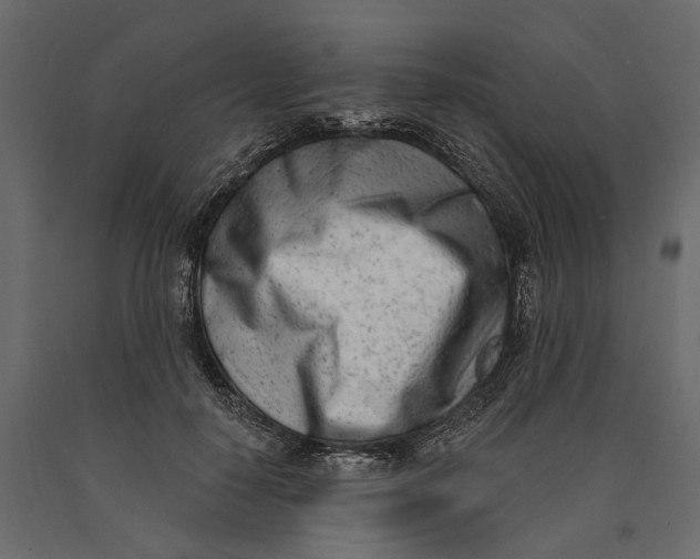 X0000090420650200708031107