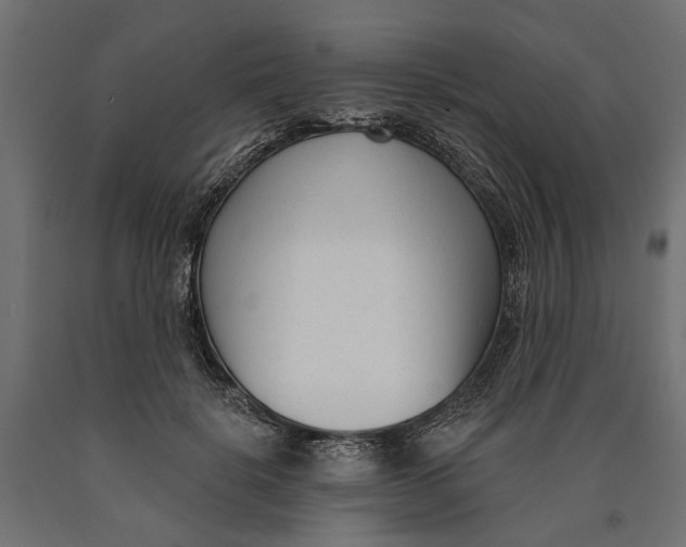 X0000090420652200708031107