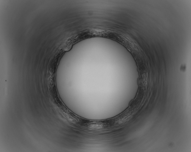 X0000090420653200708031107