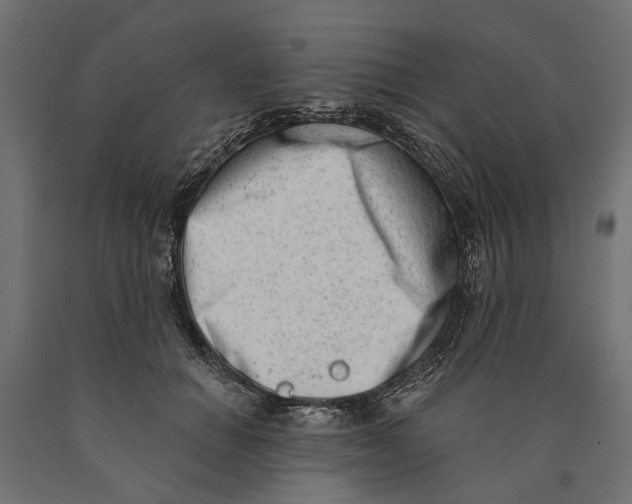 X0000090420654200708031107