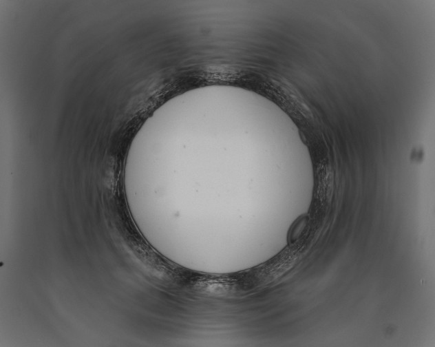 X0000090420655200708031107