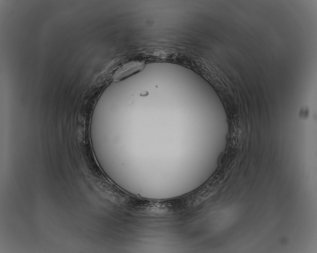 X0000090420656200708031107