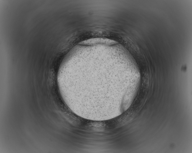 X0000090420659200708031107