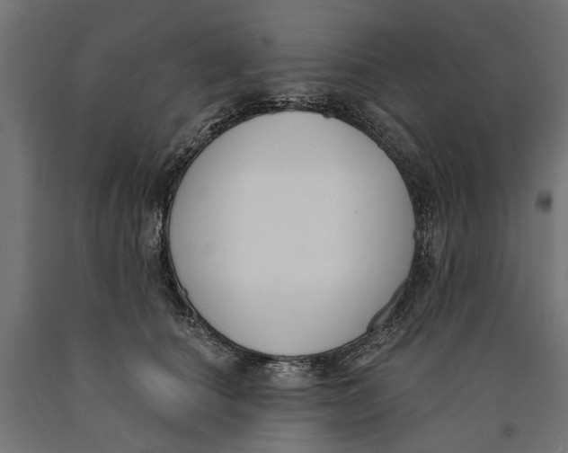 X0000090420660200708031107