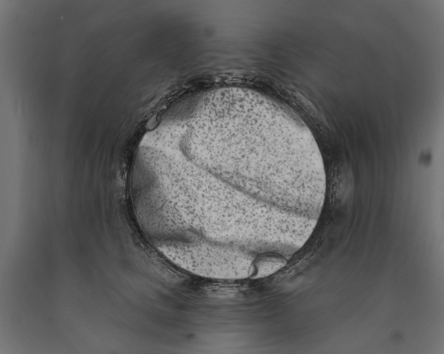 X0000090420661200708031107