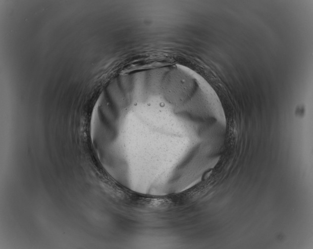 X0000090420663200708031107