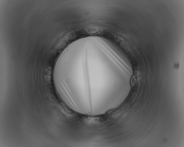 X0000090420664200708031107