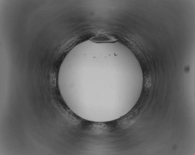 X0000090420666200708031107