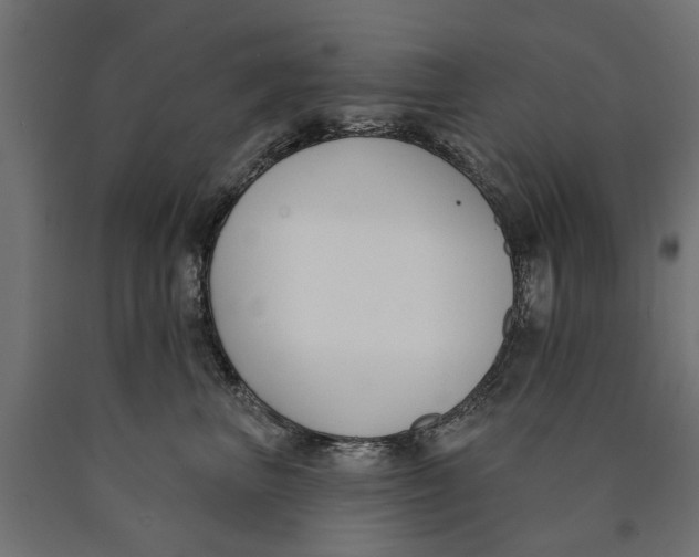 X0000090420667200708031107