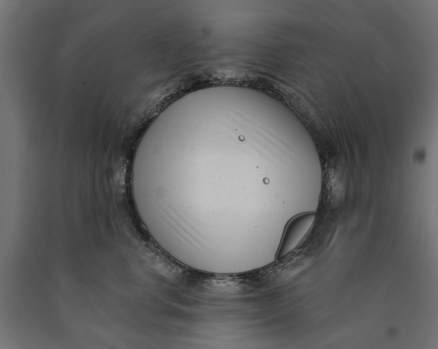 X0000090420668200708031107