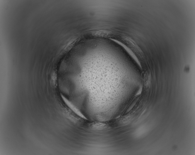 X0000090420669200708031107