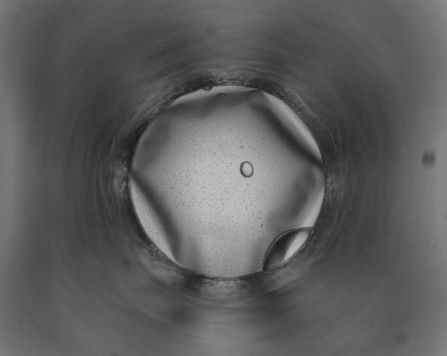 X0000090420671200708031107