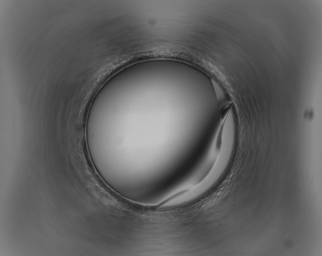 X0000090420673200708031107