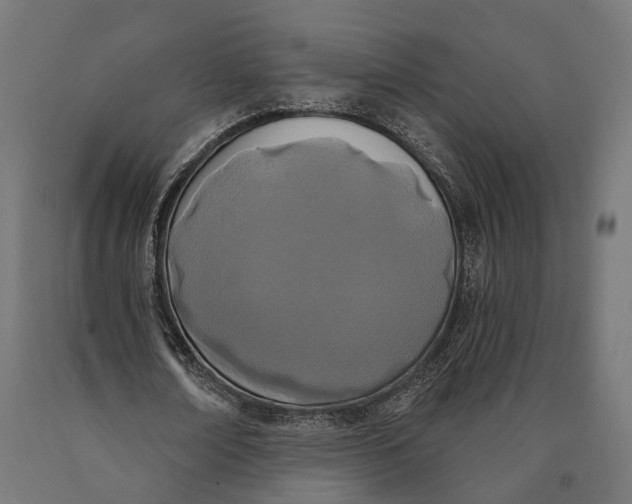 X0000090420674200708031107