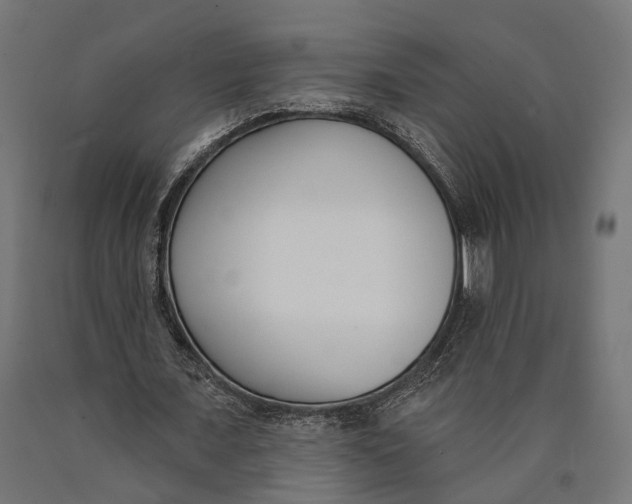 X0000090420675200708031107