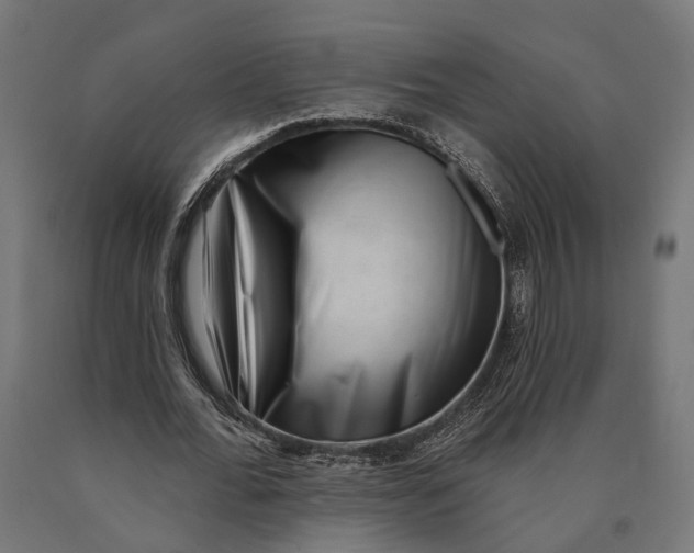 X0000090420676200708031107