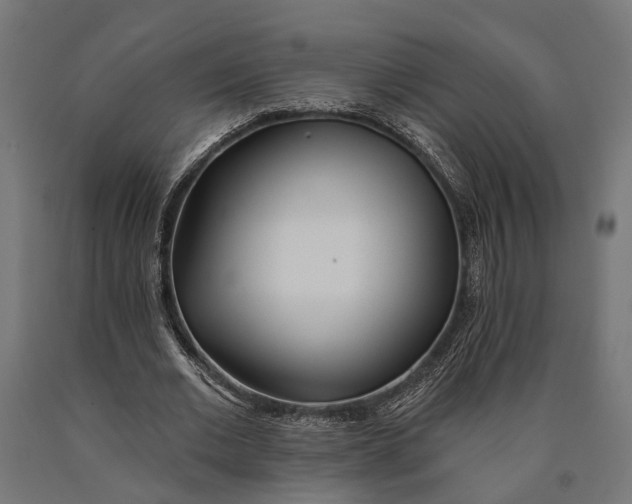 X0000090420677200708031107