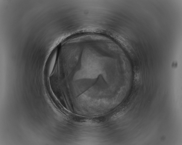 X0000090420678200708031107