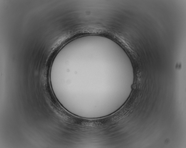 X0000090420679200708031107